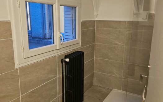 T3 AU CENTRE DE VIENNE