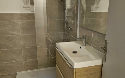 T3 AU CENTRE DE VIENNE