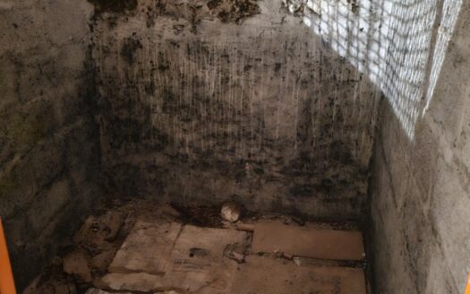 T3 AU CENTRE DE VIENNE