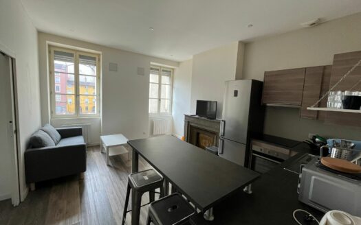 T3 MEUBLE CENTRE VIENNE